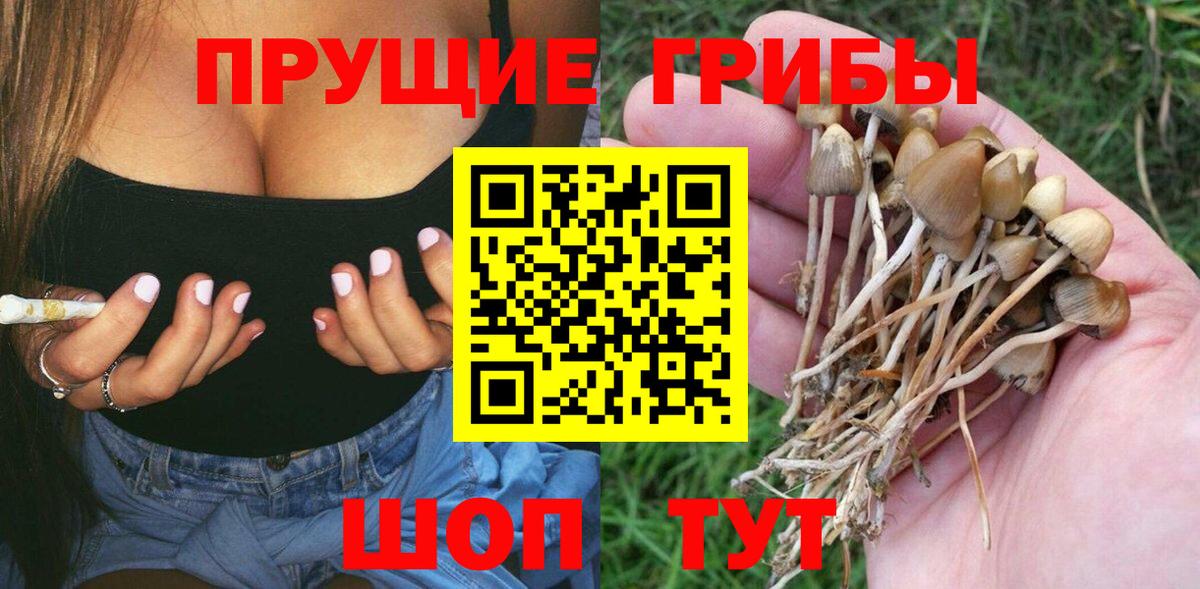 Галлюциногенные грибы Psilocybine cubensis  Вход с VPN  Серов  Псилоцибиновые грибы Psilocybine cubensis 